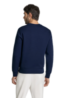 Suéter Polo Azul com estampa
